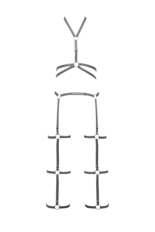 Harness "Tory" - Image 2