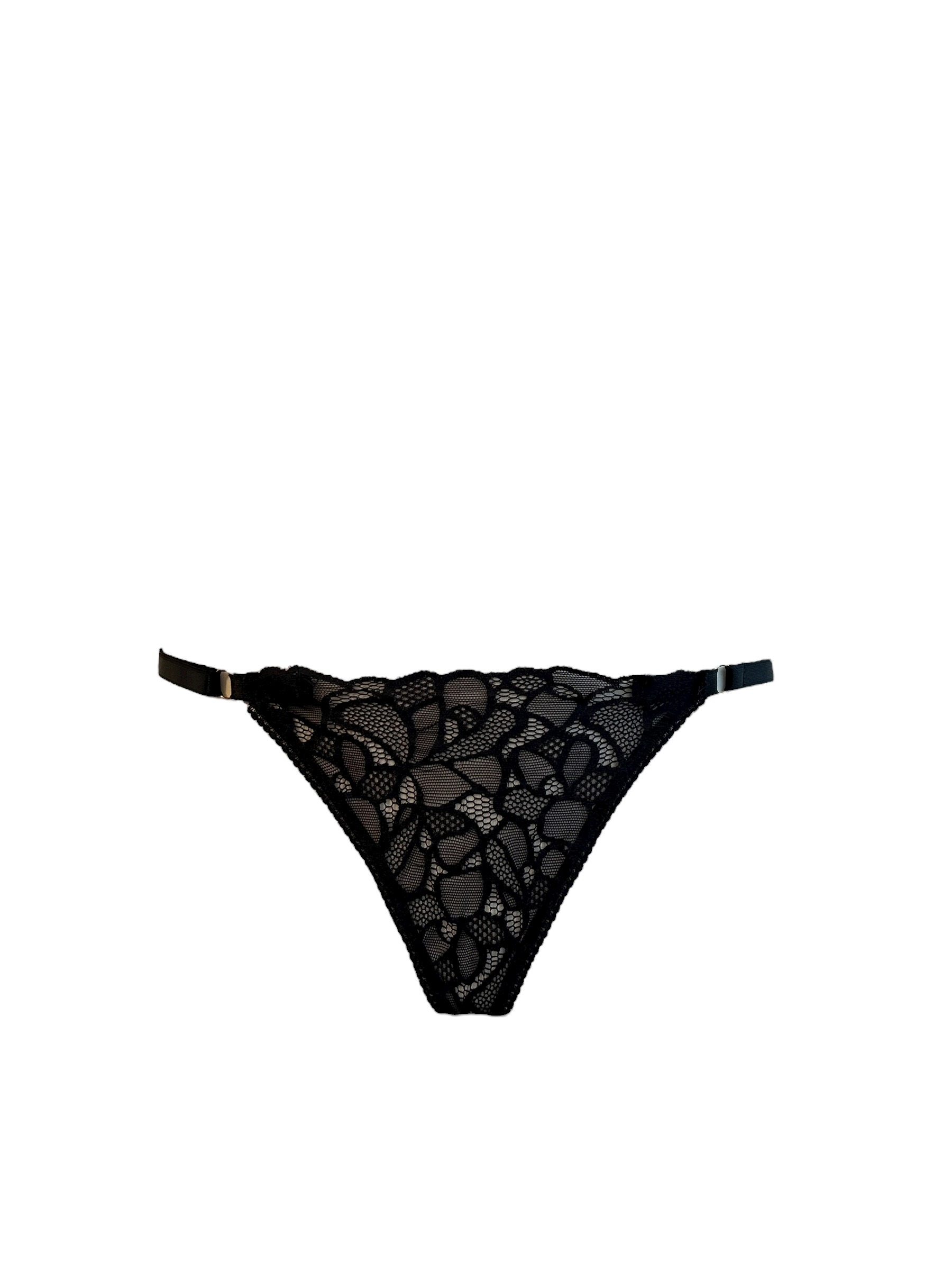 Stringid "Panthera leo" - Image 3