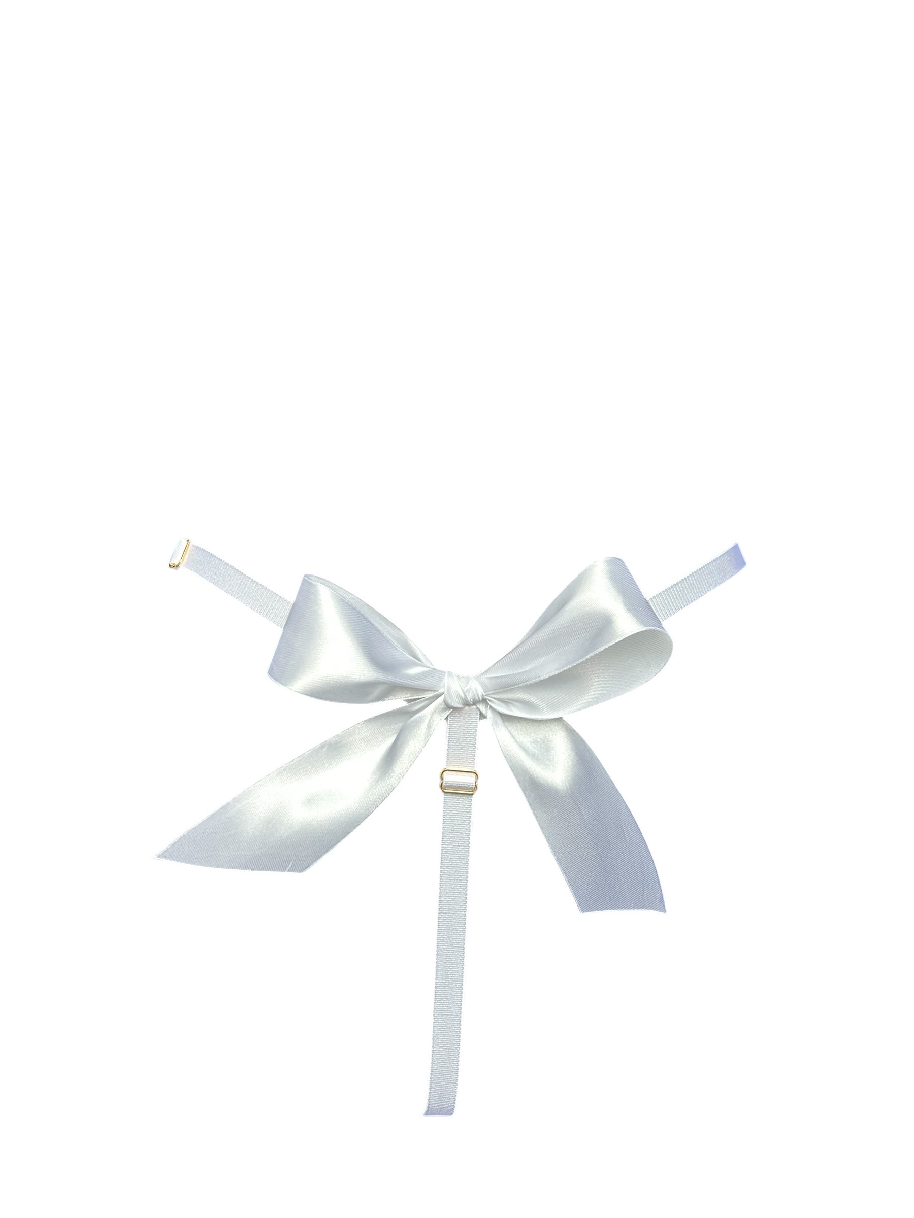 Stringid "Panthera uncia" - Image 2